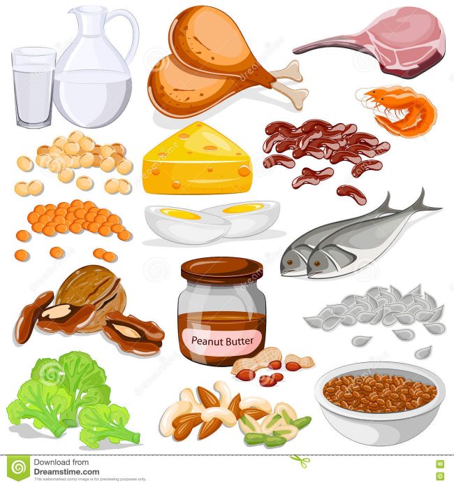 fat loss,weight loss, personal training, group fitness, protein, different sources of protein, nutrition, exercise, personal training coquitlam